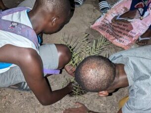 boys planting shade giving plant